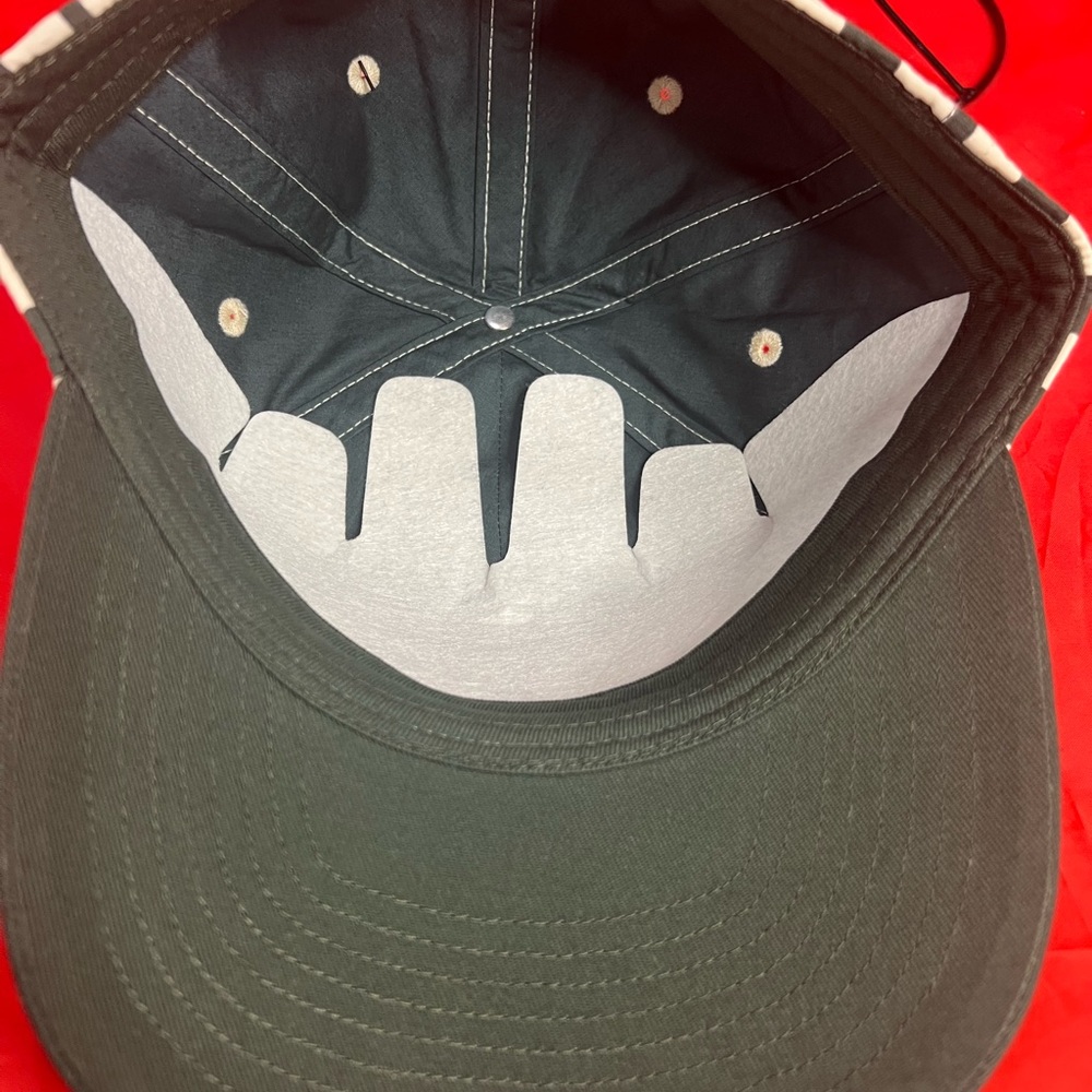 KITH SCRIPT STRIPED DAD HAT-waffle - Picture 7 of 7